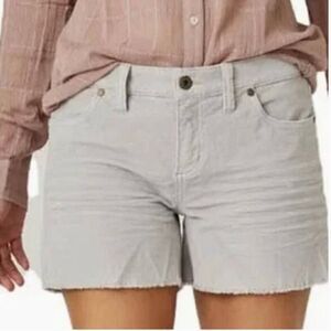 Carve Designs Oahu 4 Inch Corduroy Shorts Gray (M)
